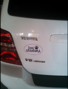 Dog Grandma