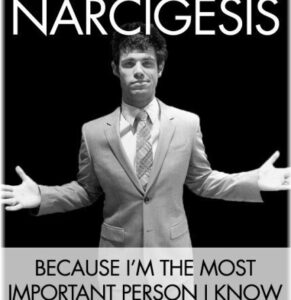 narcigesis